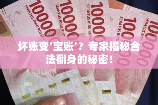 北京坏账变‘宝账’？专家揭秘合法翻身的秘密！