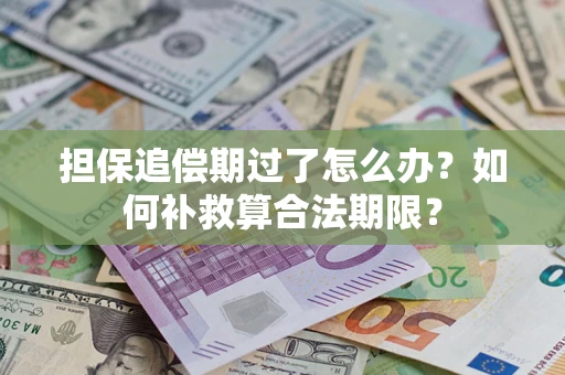 北京担保追偿期过了怎么办？如何补救算合法期限？